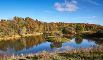 Silverhills Autumn Lake.jpg